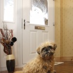 standardcompdoors8