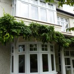 window-residence9-2